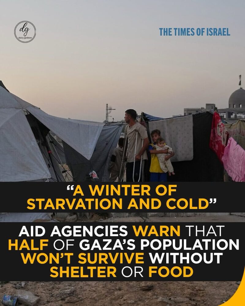 “‘A Winter of Starvation and Cold’: Aid Groups Warn Half of Gaza Could Die Without Immediate Shelter and Food”