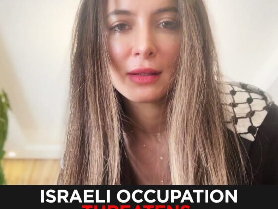 Aid workers under attack Israeli occupation threatens blocks and intimidates international staff