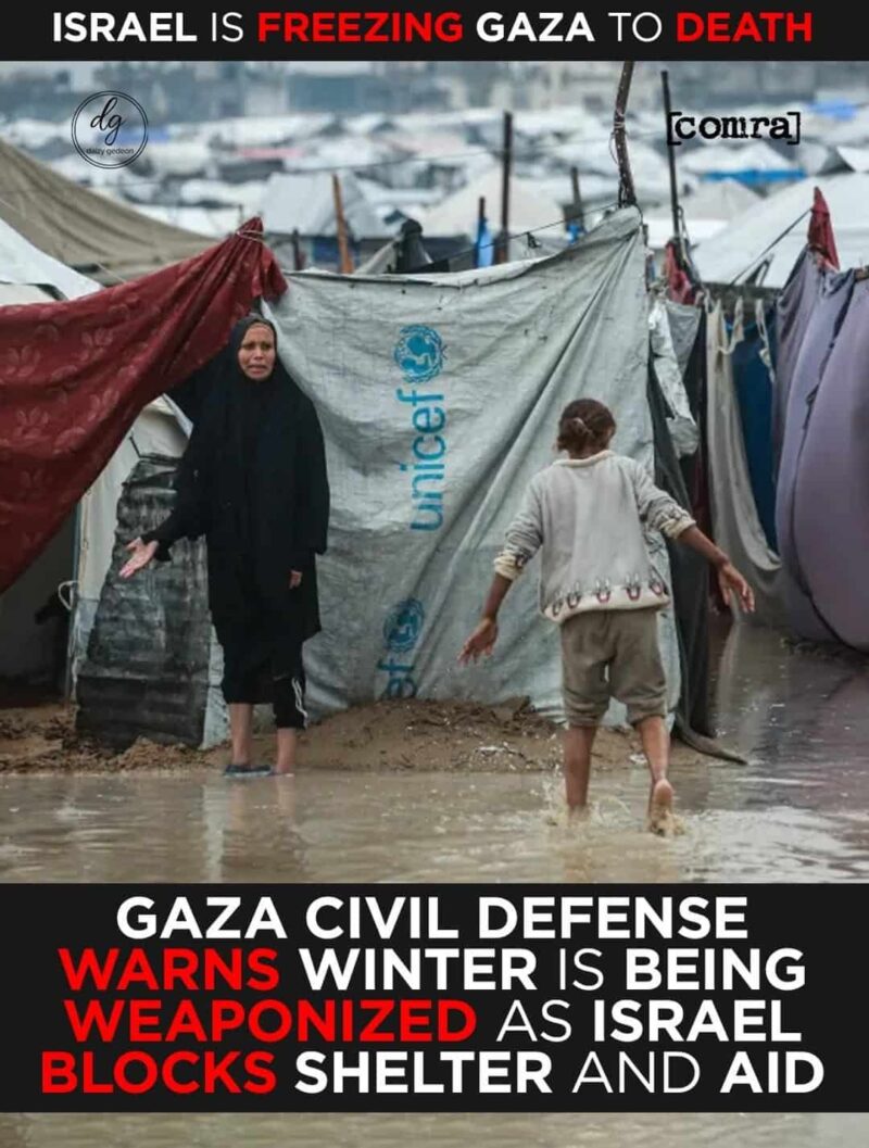 “Israel Is Freezing Gaza to Death”: Civil Defense Warns Winter Is Being Weaponized