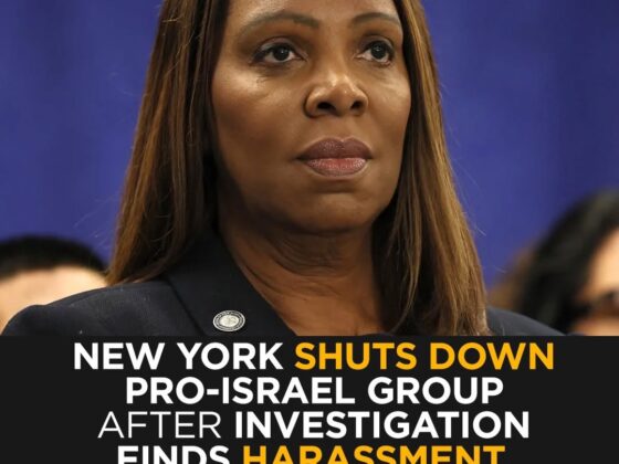 New York Shuts Down Pro-Israel Group After Probe Finds Harassment and Violence Against Pro-Palestine Activists