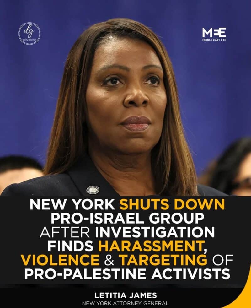 New York Shuts Down Pro-Israel Group After Probe Finds Harassment and Violence Against Pro-Palestine Activists
