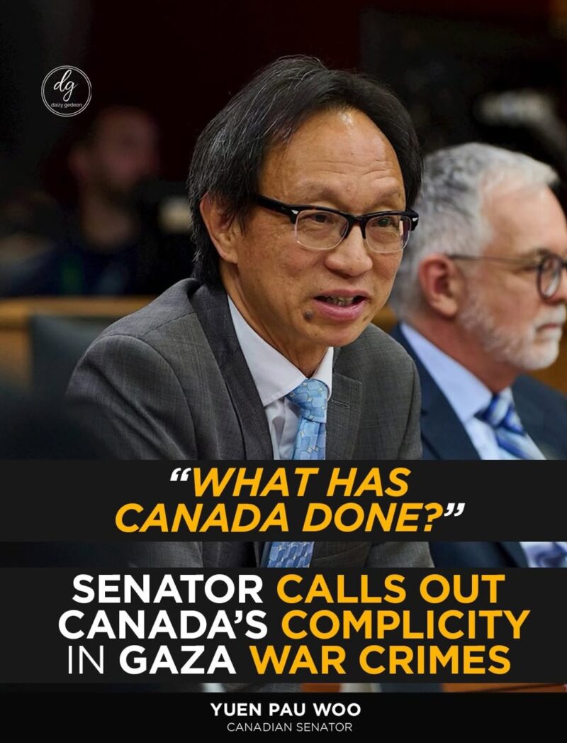 “What Has Canada Done?” — Senator Calls Out Canada’s Complicity in Gaza War Crimes