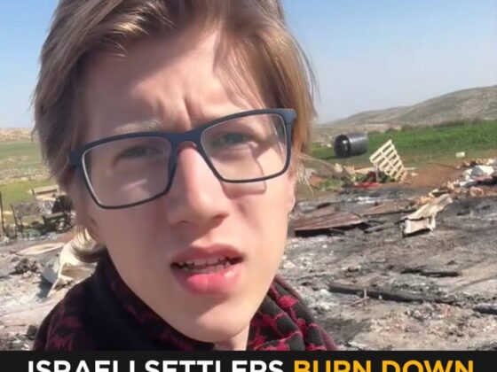 Homes Torched by Israeli Settlers as Palestinian Families Forced to Flee