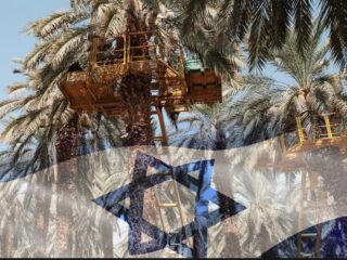 Ramadan Boycott Campaign Targets Israeli Date Companies Over Gaza 3 Ramadan Boycott Campaign Targets Israeli Date Companies Over Gaza