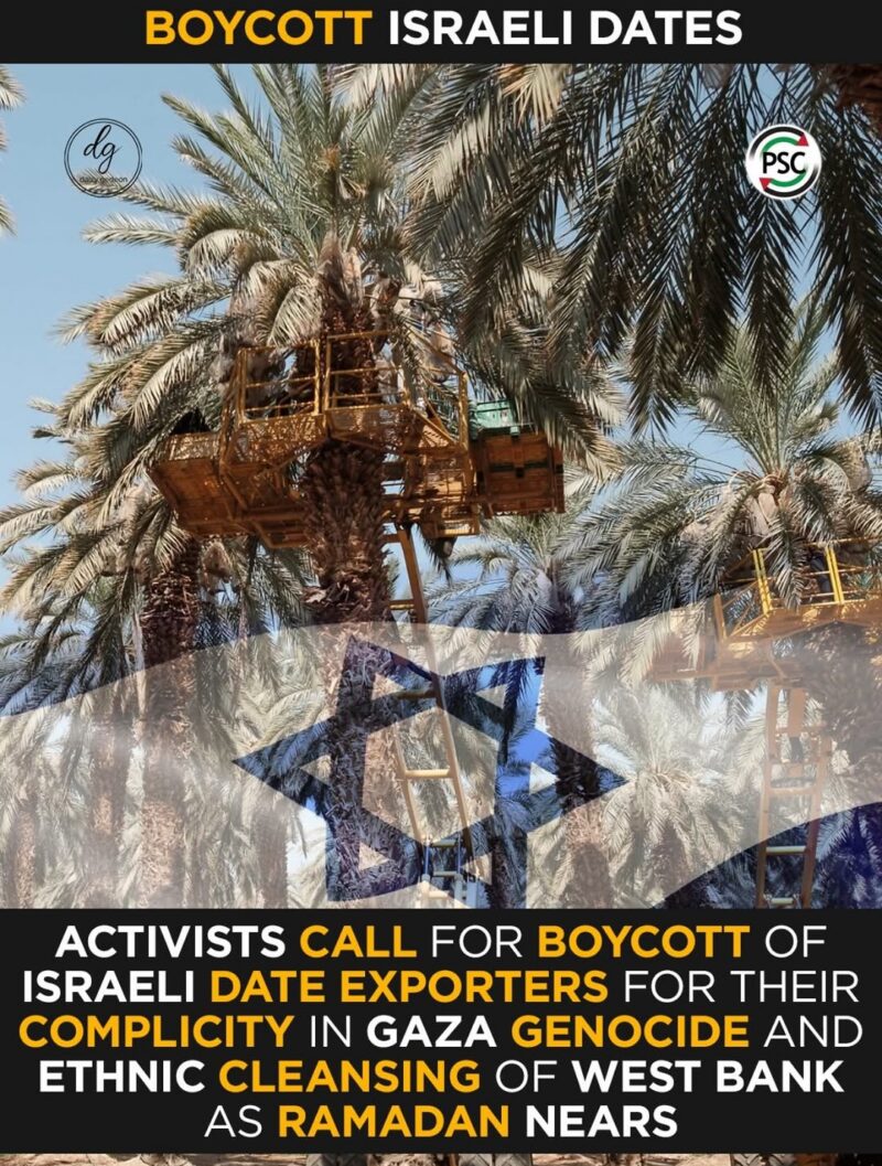 Ramadan Boycott Campaign Targets Israeli Date Companies Over Gaza