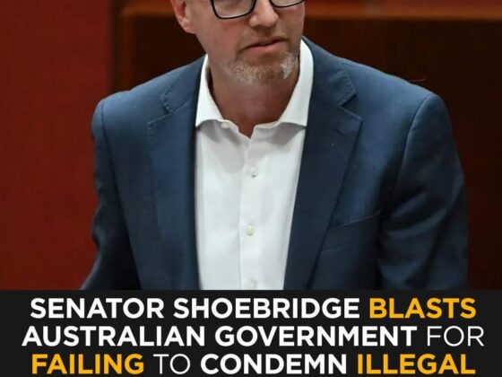 Australian Greens Criticize Govt for Failing to Denounce US-Israel Strikes on Iran