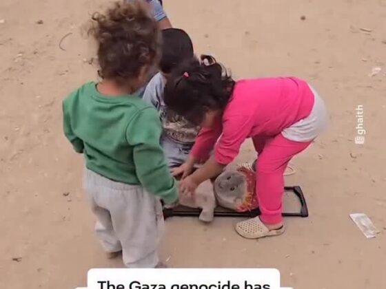 How War in Gaza Is Changing the Way Children Play
