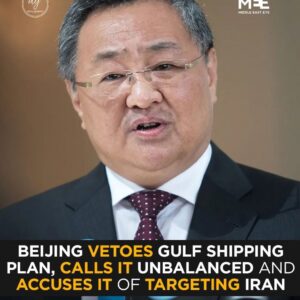 China Blocks UN Resolution on Iran, Calls Gulf Shipping Plan ‘Unbalanced’