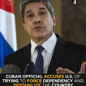 Cuban Deputy FM Carlos Fernández de Cossío Accuses U.S. of Forcing Dependency and Destabilization