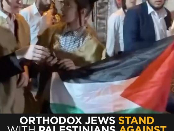Jerusalem Protest Video Shows Orthodox Jews Clashing With Israeli Police