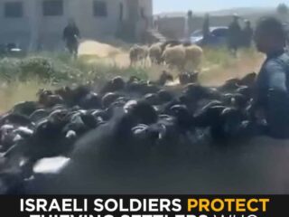 West Bank Horror: Israeli Soldiers Protect Settlers Accused of Killing Palestinian Teen While Defending Family Livestock, 2 West Bank Horror: Israeli Soldiers Protect Settlers Accused of Killing Palestinian Teen While Defending Family Livestock,