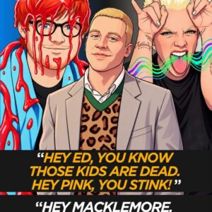 Protesters Praise Macklemore While Targeting Ed Sheeran and Pink Over Palestine